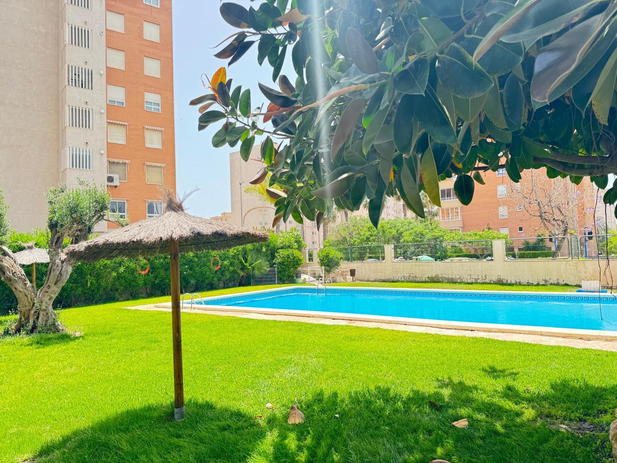 Estudio Con Piscina Alicante Eksteriør bilde